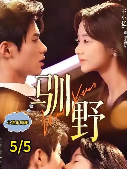 电话 韩国悬疑电影 海报